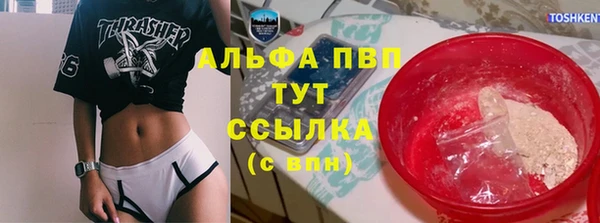 эйфоретик Дмитриев