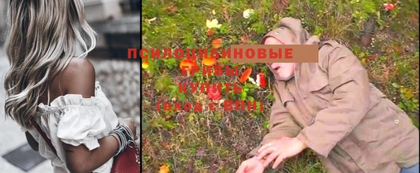 эйфоретик Дмитриев