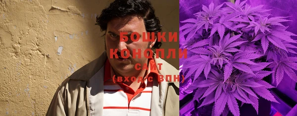 эйфоретик Дмитриев