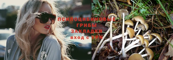 эйфоретик Дмитриев