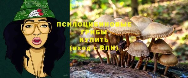 МДМА Дмитровск