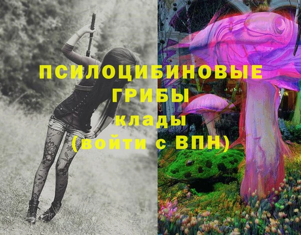 эйфоретик Дмитриев