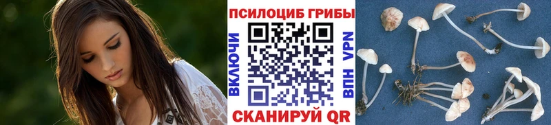 Купить  Краснознаменск  Псилоцибиновые грибы GOLDEN TEACHER 